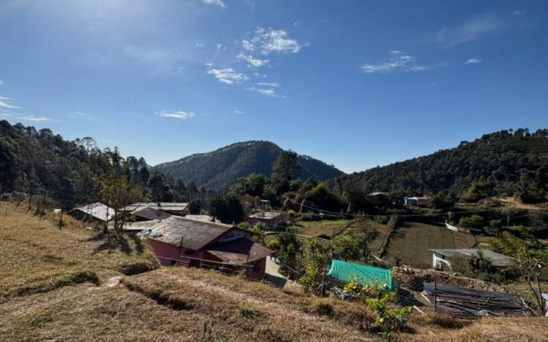 WhatsApp Image 2026-01-21 at 14.15.09