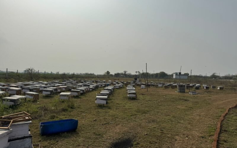 WhatsApp Image 2026-01-23 at 13.05.27