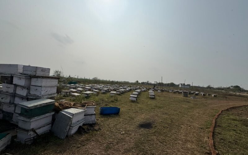 WhatsApp Image 2026-01-23 at 13.05.27