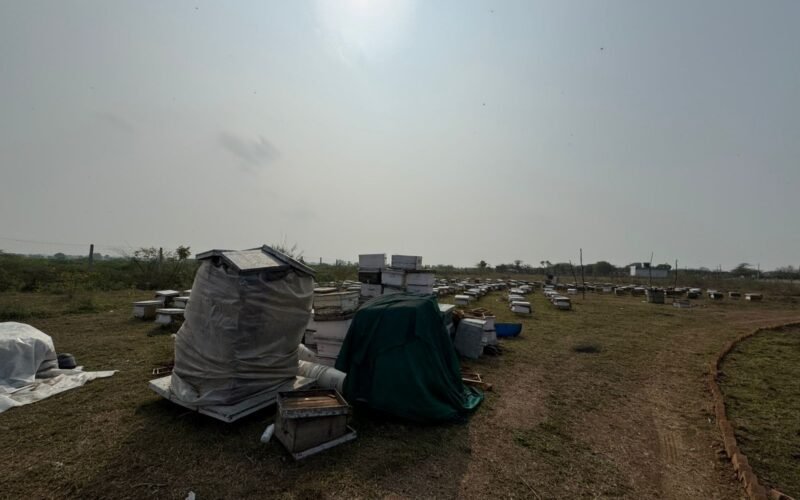 WhatsApp Image 2026-01-23 at 13.05.29